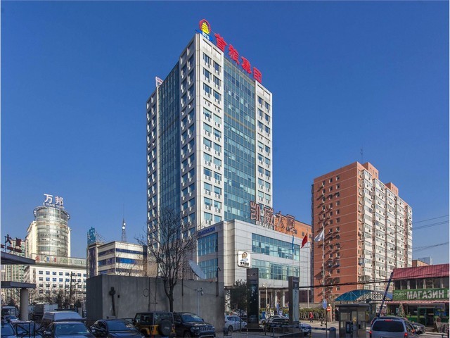 金丝皇菊原料私人定制